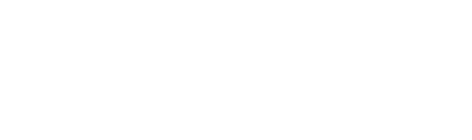 Bizum